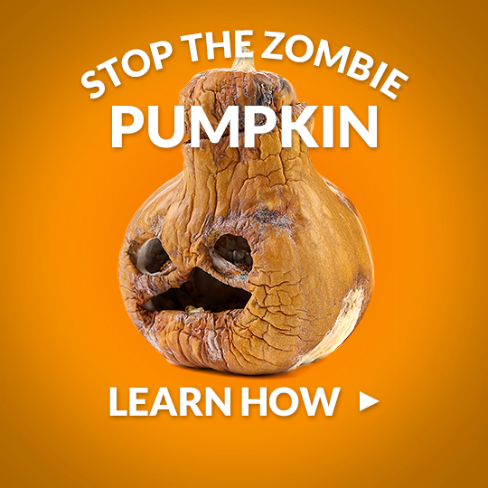 How to Dispose of a Decomposing Rotten Pumpkin | Glad