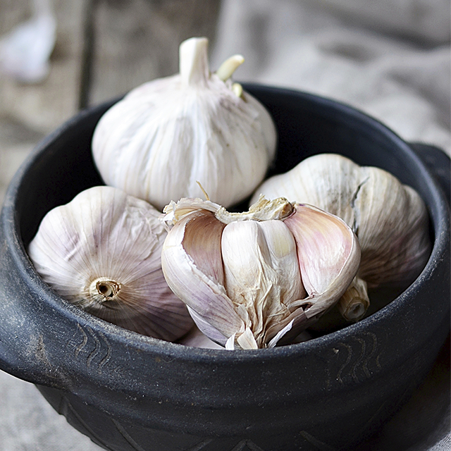 How to Store Garlic and Avoid Rotting Food | Glad®