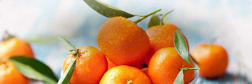 How to Store Mandarins and Prevent Rot